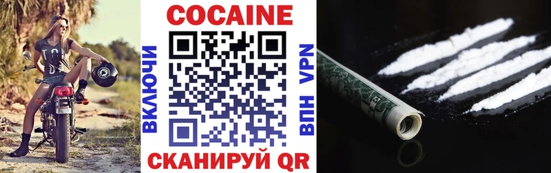 где продают наркотики  Новоаннинский  MEGA зеркало  COCAIN Боливия 