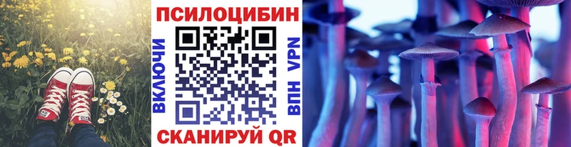 Псилоцибиновые грибы ЛСД Новоаннинский